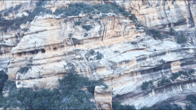Sinagua cliff dwellings